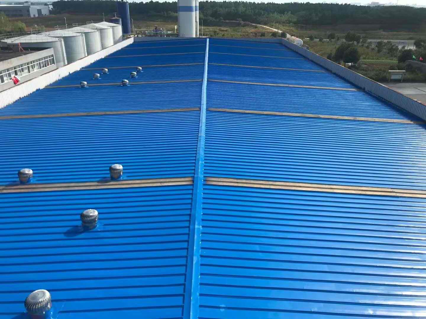 牛牛体育nba直播：家里的瓷砖“发霉”怎么办？